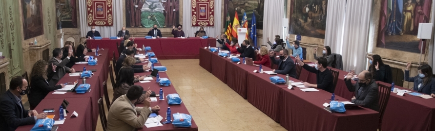 El pleno de la Diputación guarda un minuto de silencio en señal de respeto y recuerdo a las 367 personas fallecidas por la Covid en la provincia de Castellón