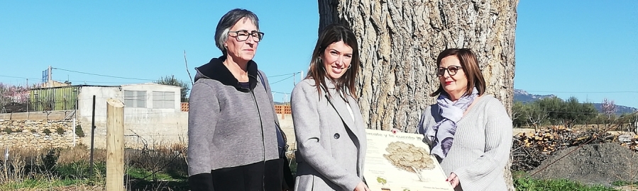 María Jiménez entrega cinco paneles informativos de árboles monumentales en el Alto Palancia