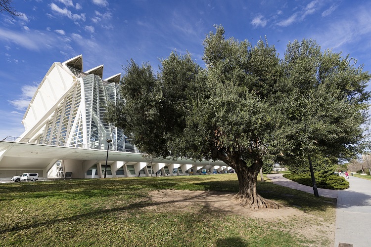 El Museu de les Ciències pone en marcha el taller 'SOS Planeta'